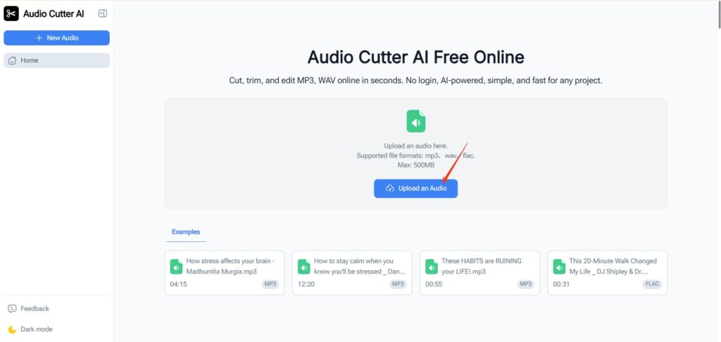 Audio Cutter AI supports popular audio formats such as MP3, WAV, FLAC, M4A, and so on.